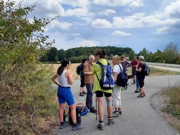 Vereinswanderung 2022