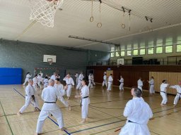 DAN Skakai April 2023